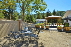 6-backyard